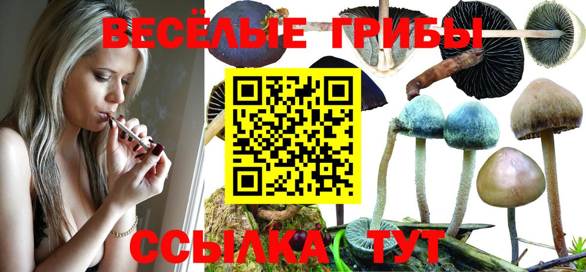 Галлюциногенные грибы Magic Shrooms Вольск